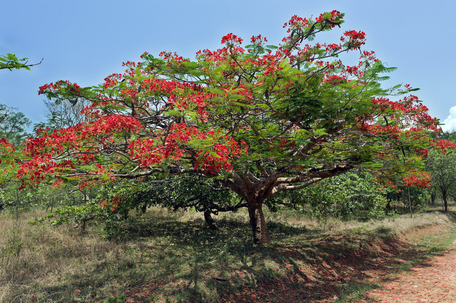 Nagarhole NP, Karnataka