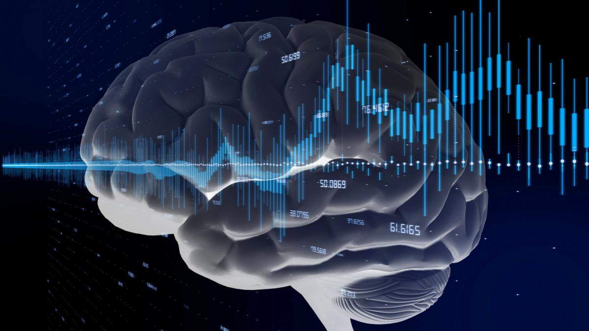 Quali sono le frequenze delle onde cerebrali