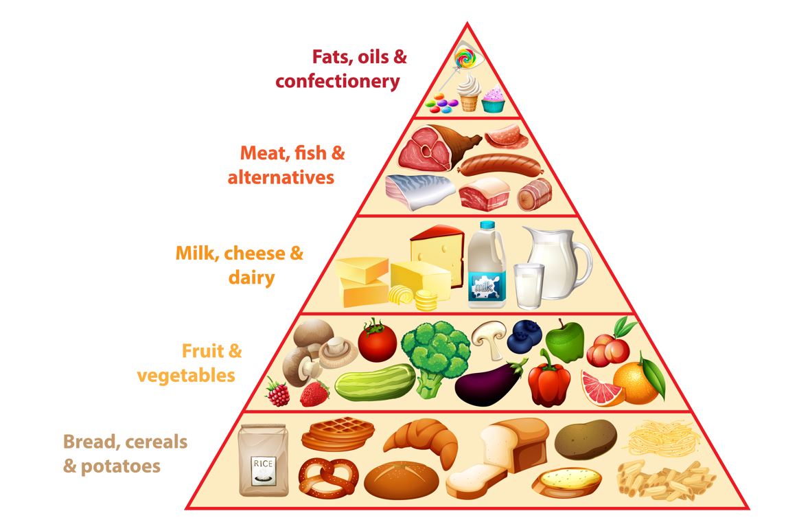 piramide-alimentare-nuova-dieta-mediterranea-cereali-frutta-verdura-carne-pesce-grassi-legumi-dolci-acqua-attività-fisica-convivialità-stagionalità-tradizioni