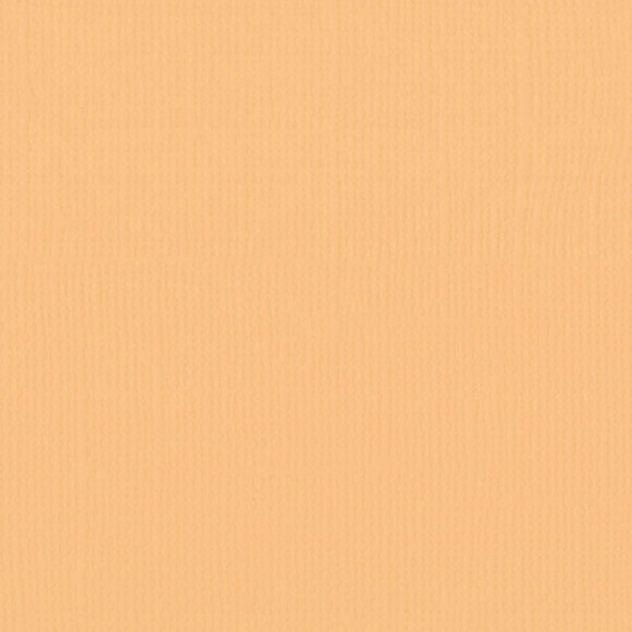 2928-009 Florence • Cardstock texture 30,5x30,5cm Bee