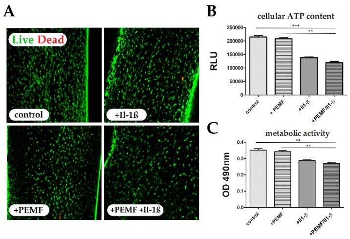 cells-08-00399-g002jpg