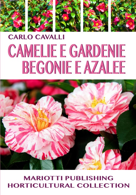 Camelie e Gardenie, Begonie e Azalee - Carlo Cavalli