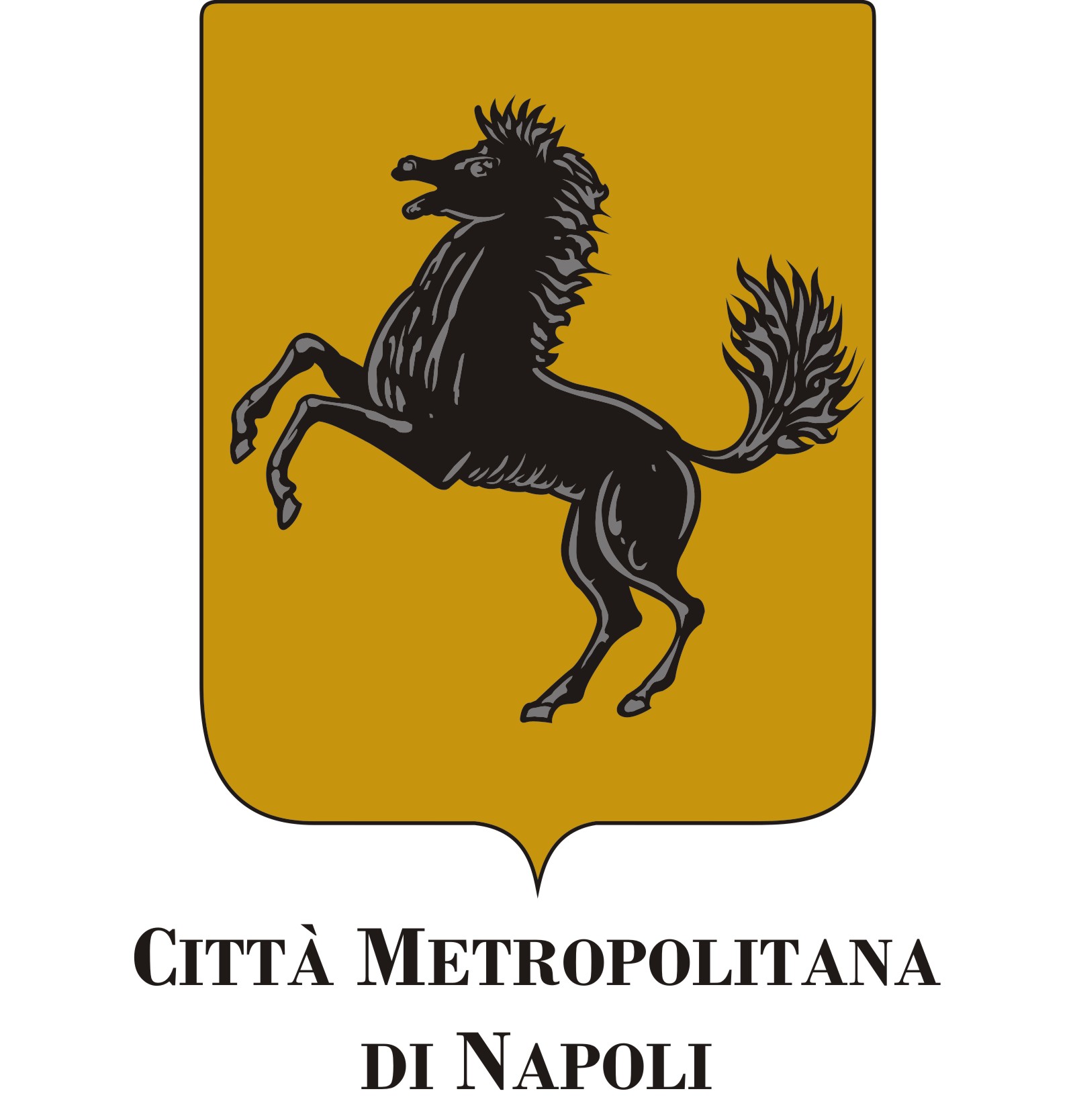 concessione patrocinio città metropolitana Napoli
