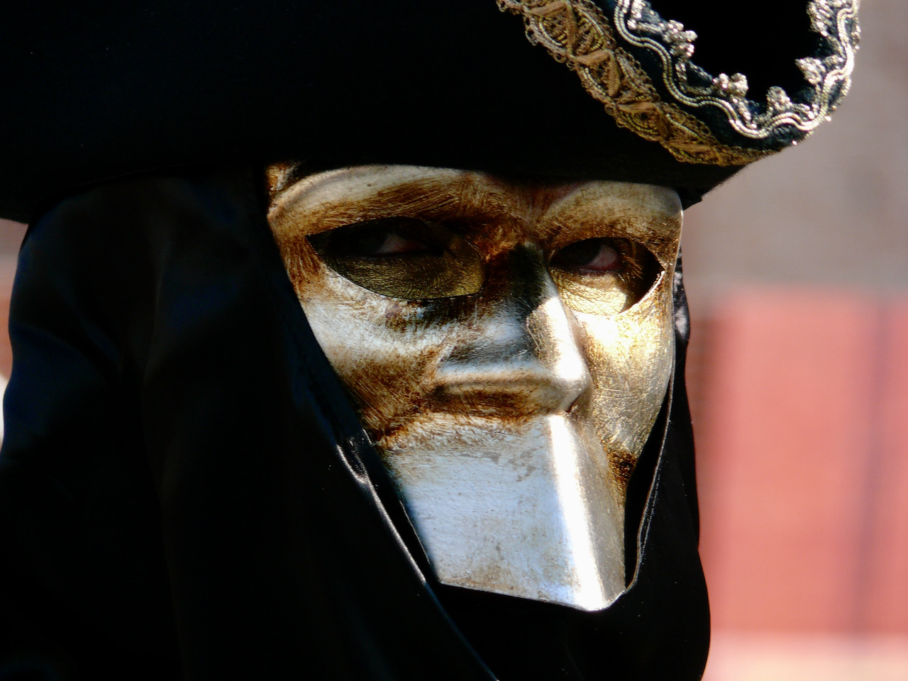 Diffidenza, maschera, Italia, Venezia, carnevale