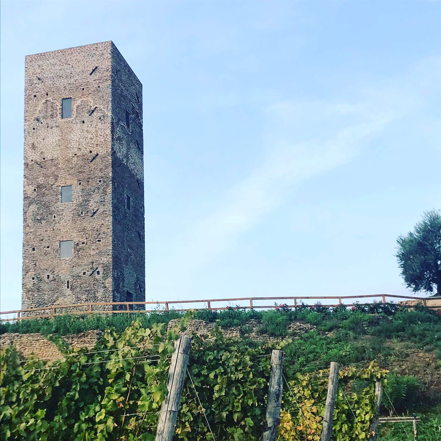 La Torre che si estende nella tenuta Agribel