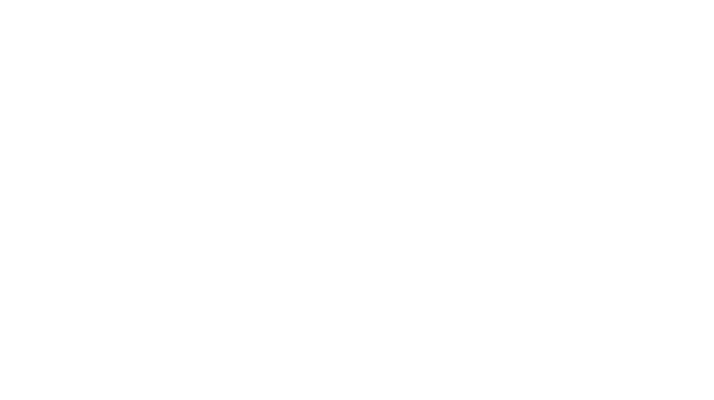 Giovanni Caminiti AnimArtigiana