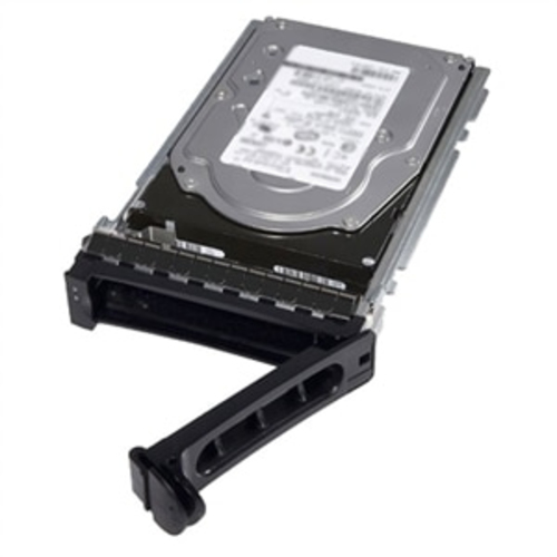 SSD 2,5 480GB SATA RI ISE 6GBPS 6GBIT/S 512E CABLED 3,5 DRIVE CARRI