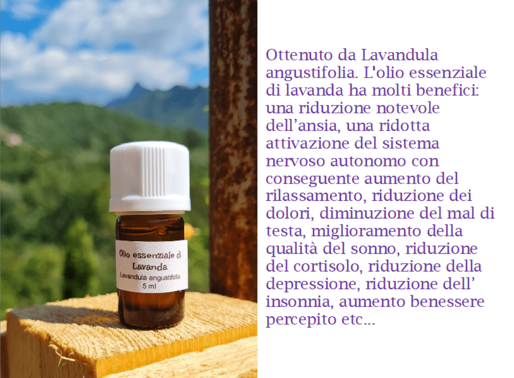 Olio essenziale di Lavanda angustifolia