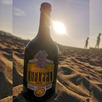 BRUGGIA Belgian Pale Ale 4,8% - 75 cl.