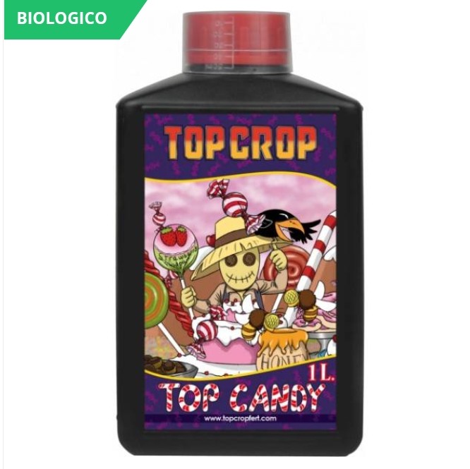303 Top Crop - Top Candy