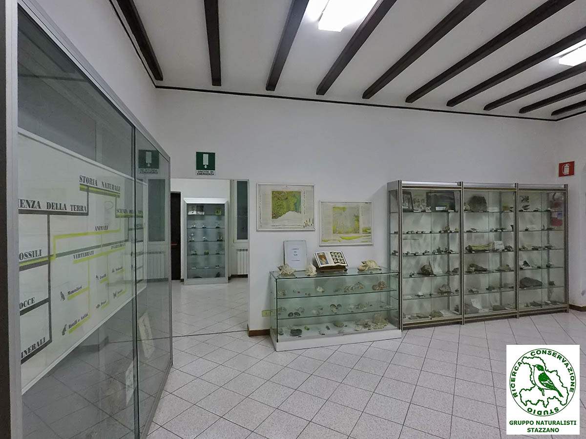 Museo Stazzano