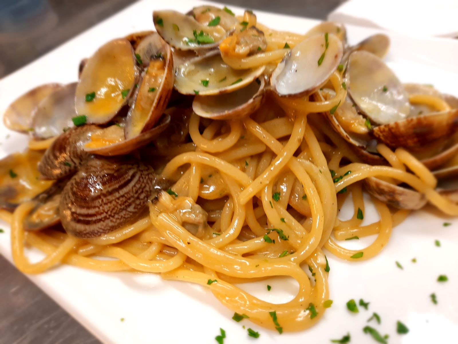Spaghettoni with clams