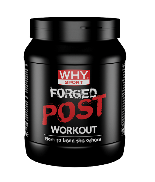 FORGED™ POST WORKOUT 600g