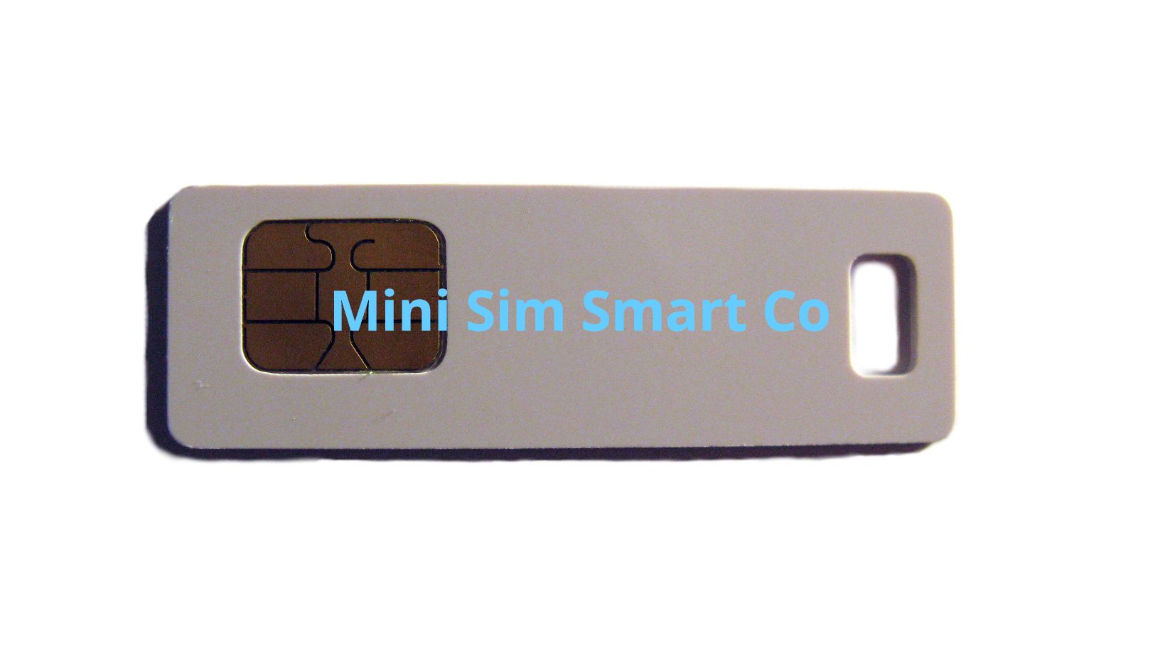 Mini SIM