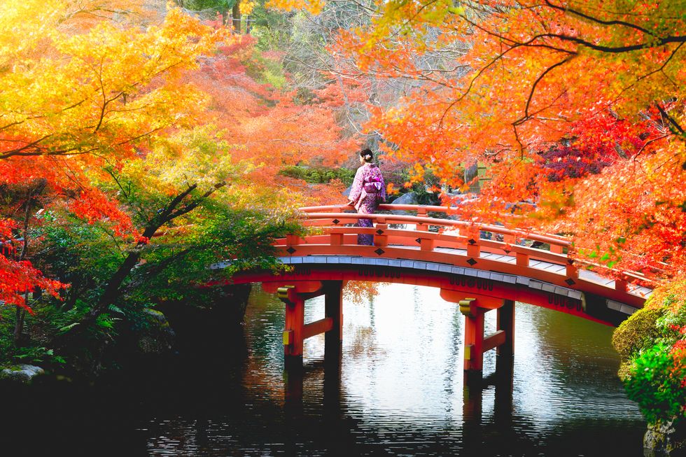 Foliage in Giappone ultimi posti disponibili partenza 18 novembre