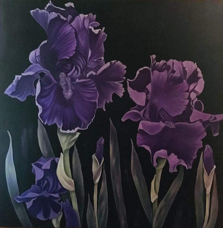 "Black Iris" - oil on canvas - cms. 120x120 - Quotation € 2900.00
