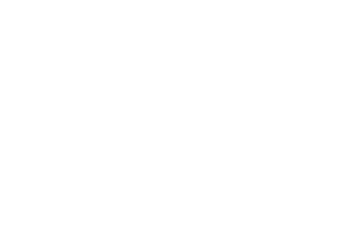 Automatic Door Division