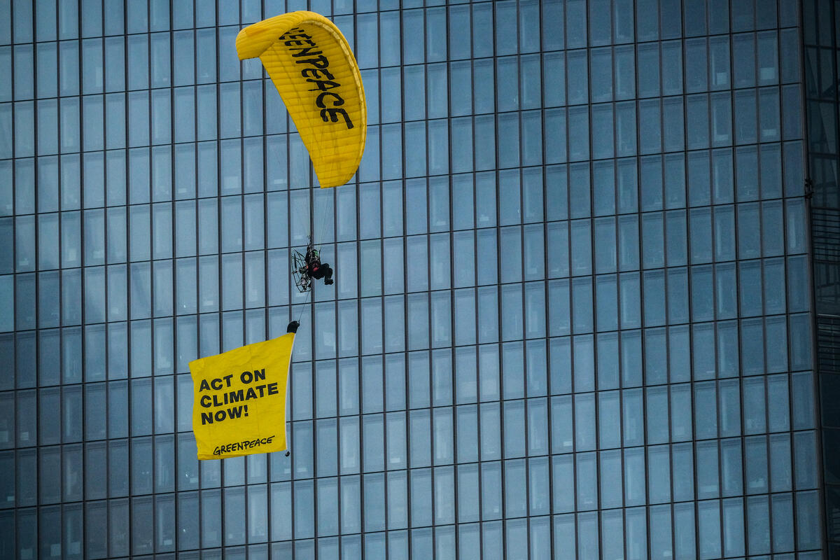 Greenpeace, blitz in parapendio sulla Bce: "Sostiene chi uccide il clima"