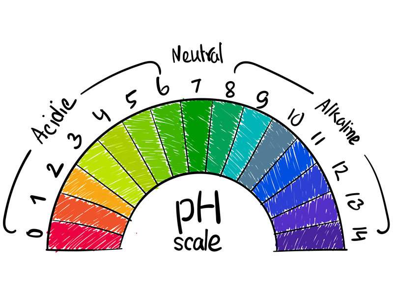 Come ripristinare l'equilibrio del pH