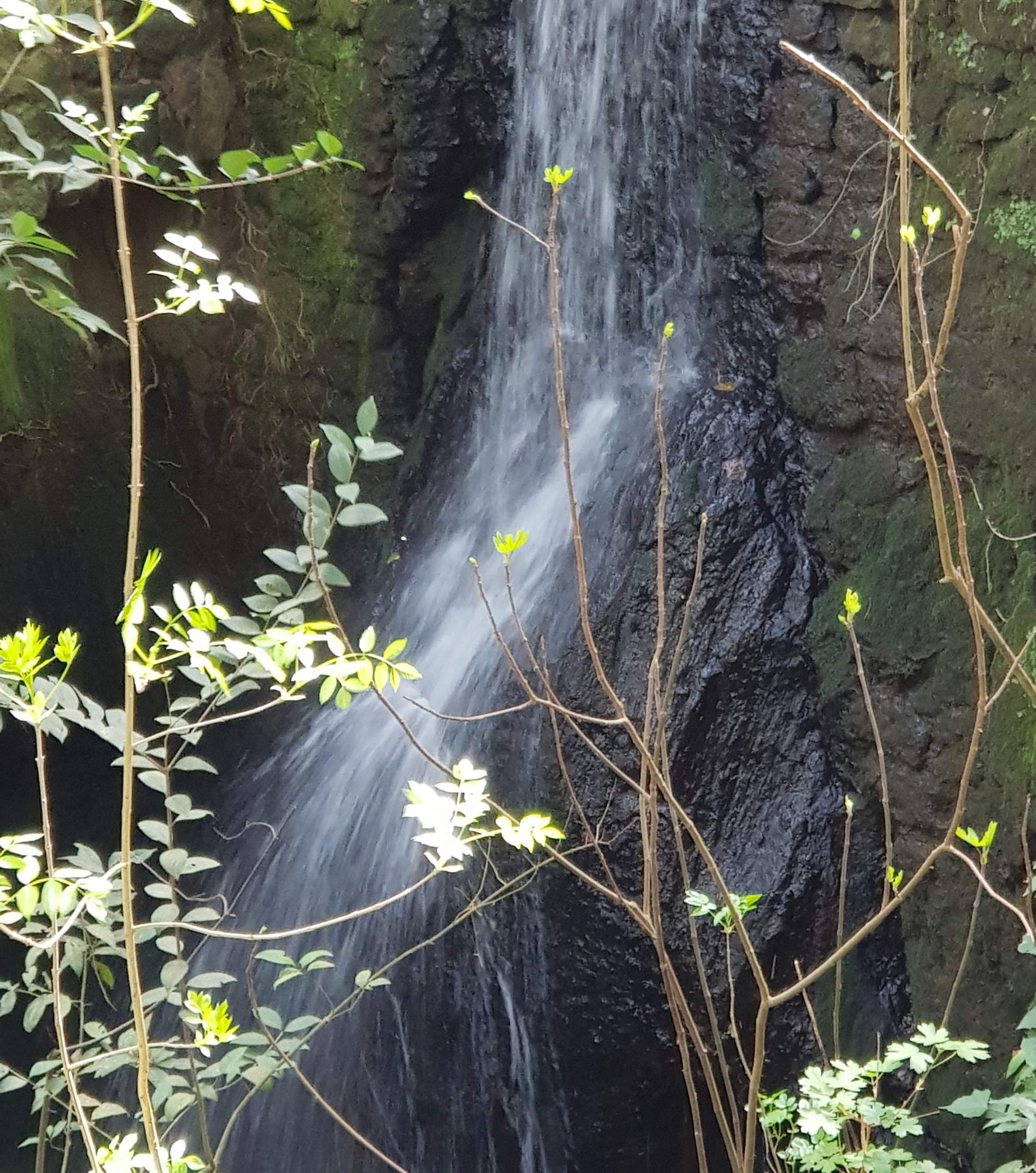 Bomarzo magica