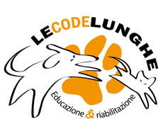 lecodelunghe.com