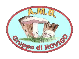 Associazione Micologica Bresadola A.P.S. - Gruppo di Rovigo - Sede sociale Via Ponte Merlo, 2 Grignano Polesine - Rovigo                info: 340 2968697