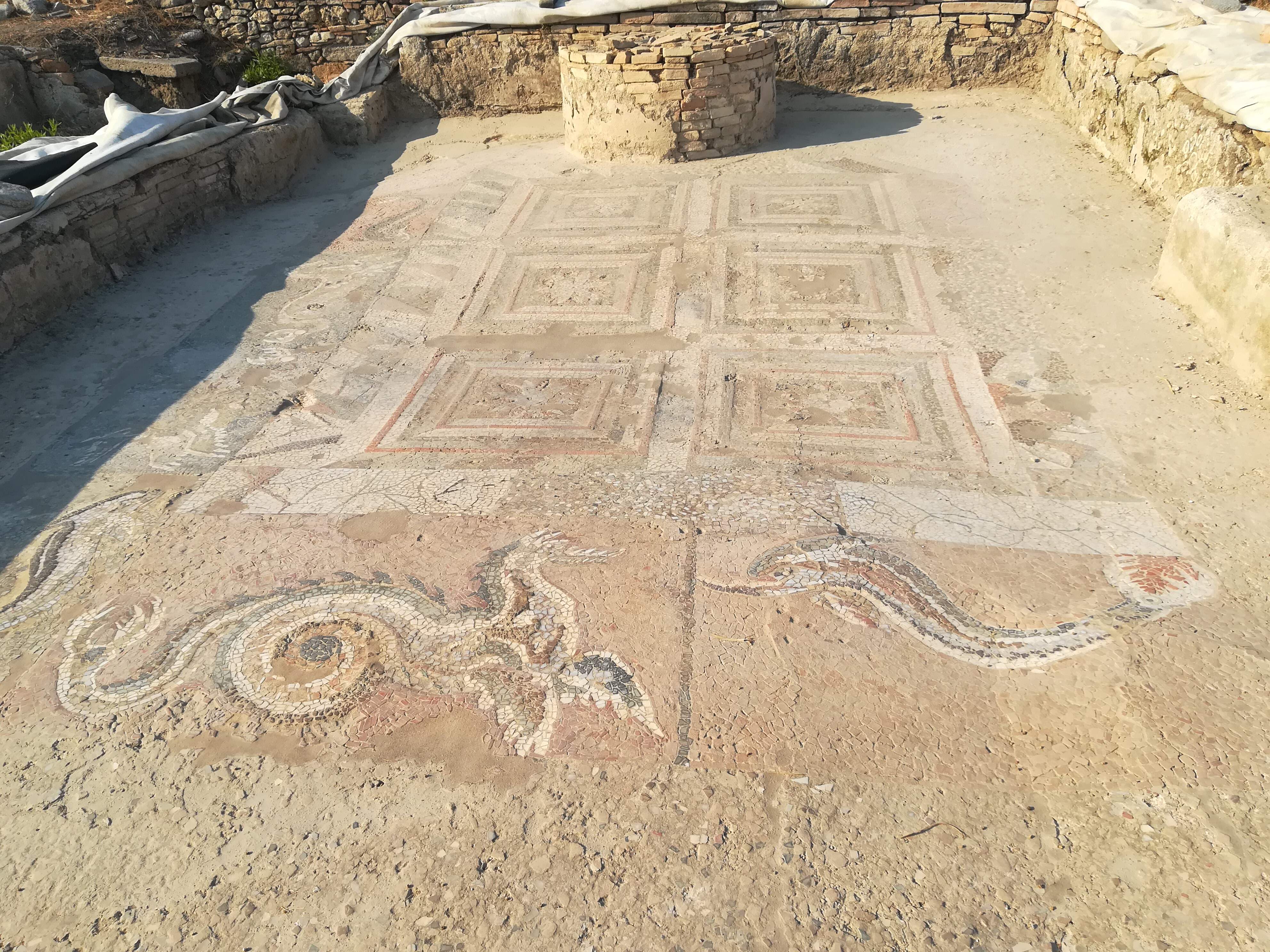 Parco di Kaulon, torna visitabile in Calabria il mosaico dei draghi e dei delfini