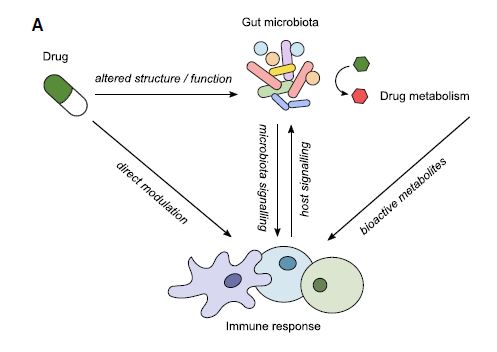 microbiota-farmaci-farmaci-alimentazione-efficace-modifiche-mutazioni-enzimi-plasmidi-batteriofagi