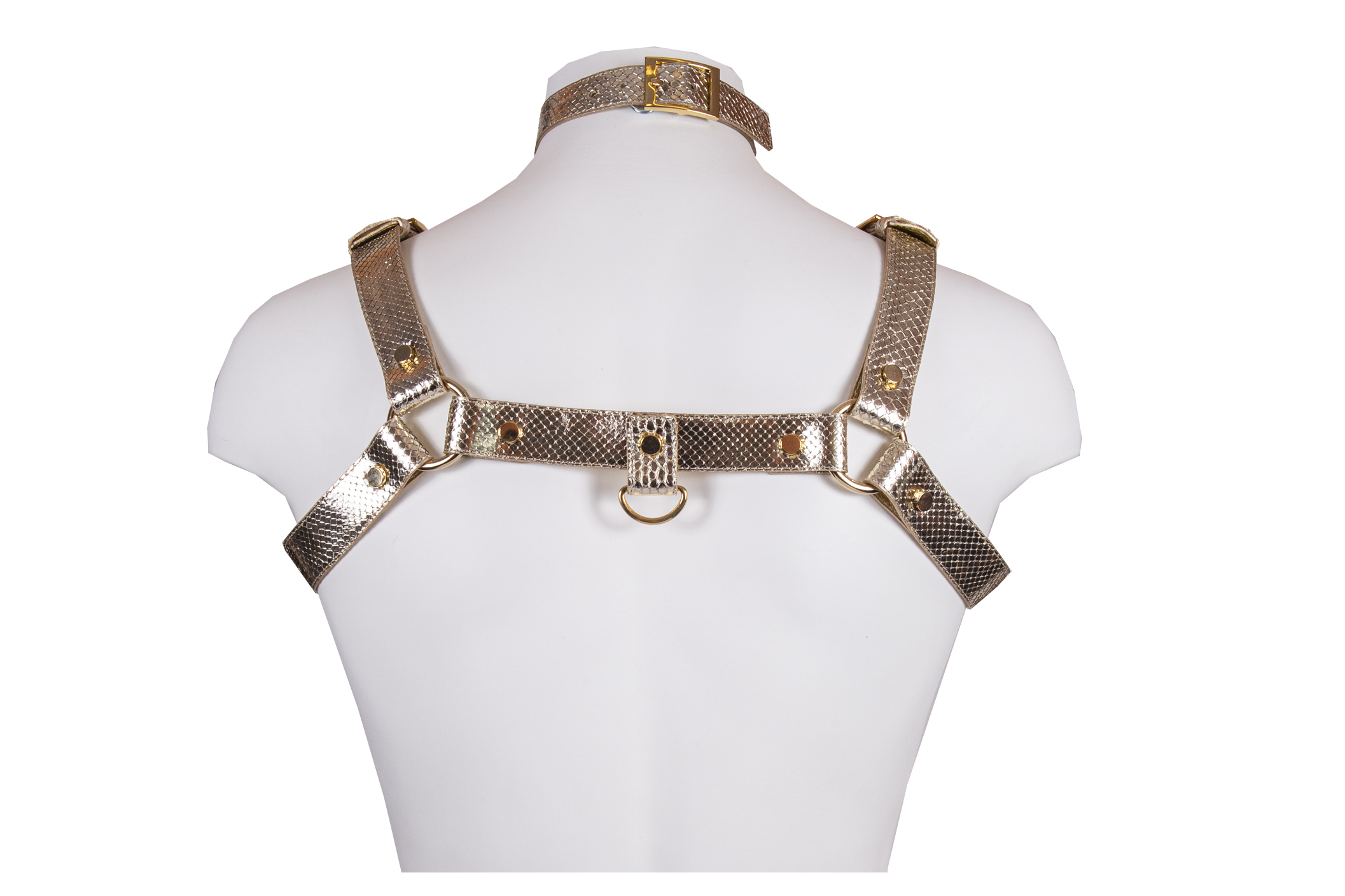 Harness Bust in real Python