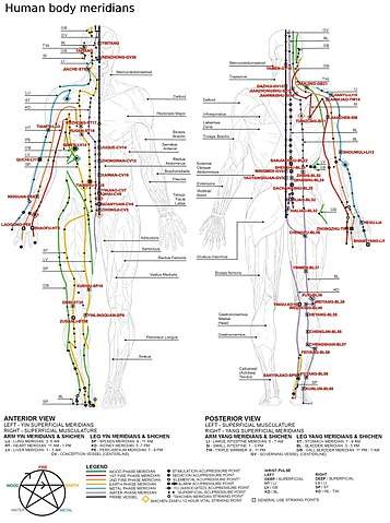 Che tecnica utilizza la kinesiologia applicata ( AK )