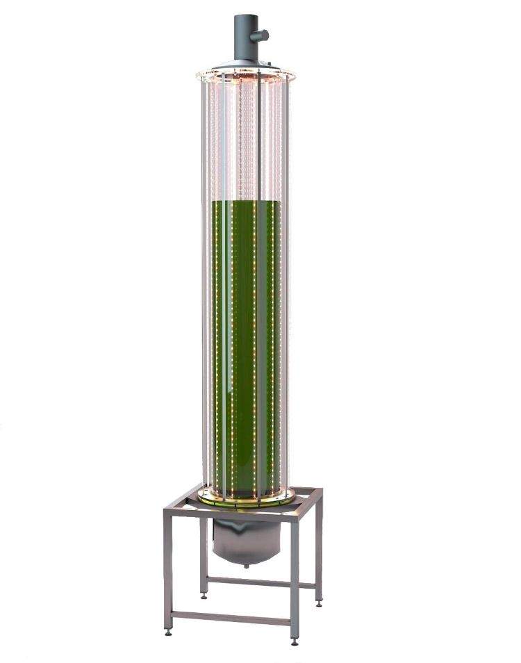 microalgae photobioreactor