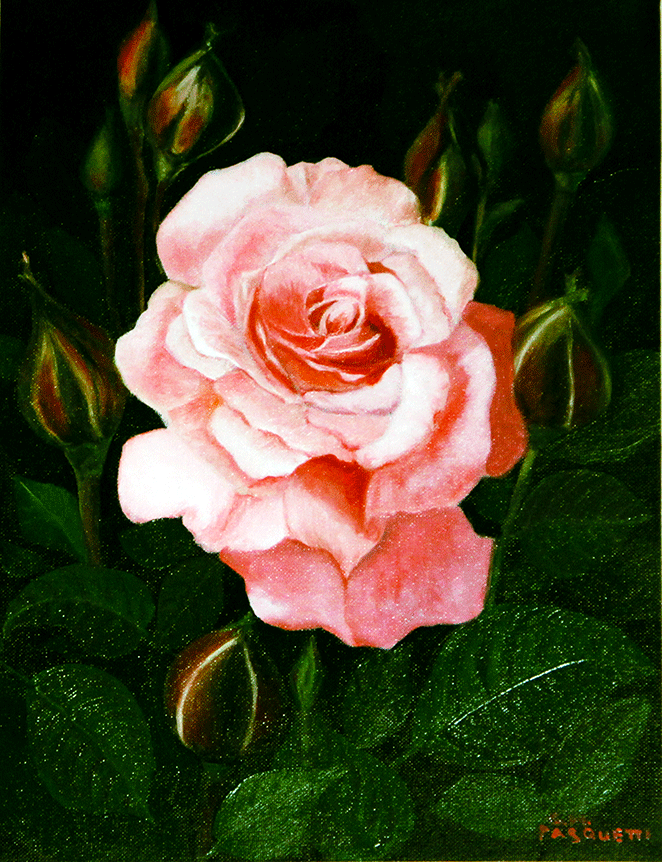 rosa con boccioli su tela Giulia Maria Pasquetti