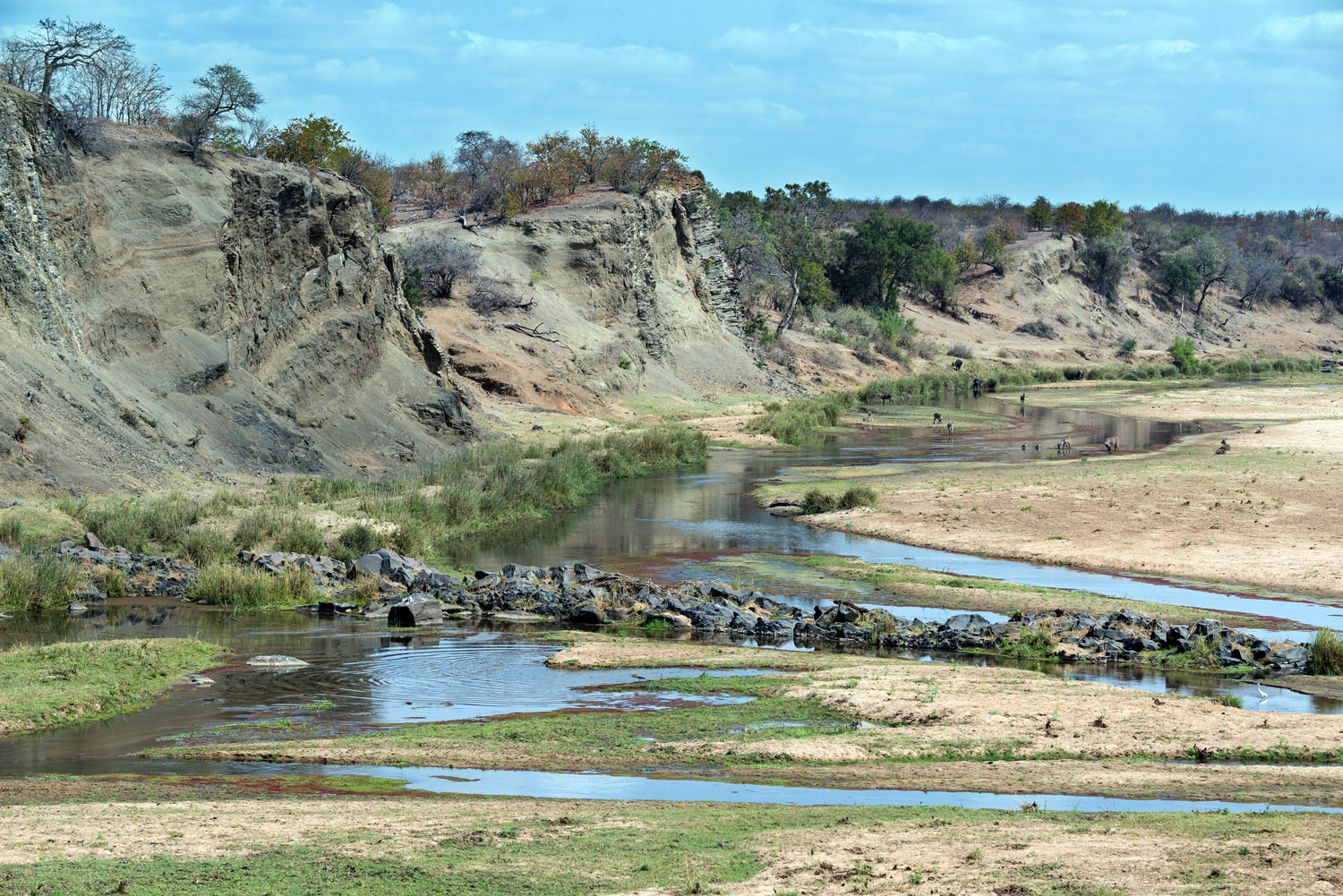 fiume Letaba, Letaba river, Kruger NP