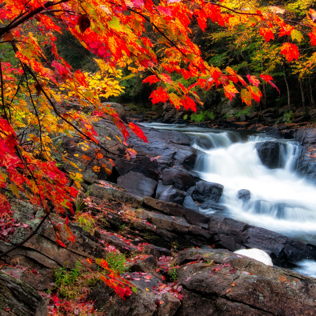 Svolta d’autunno