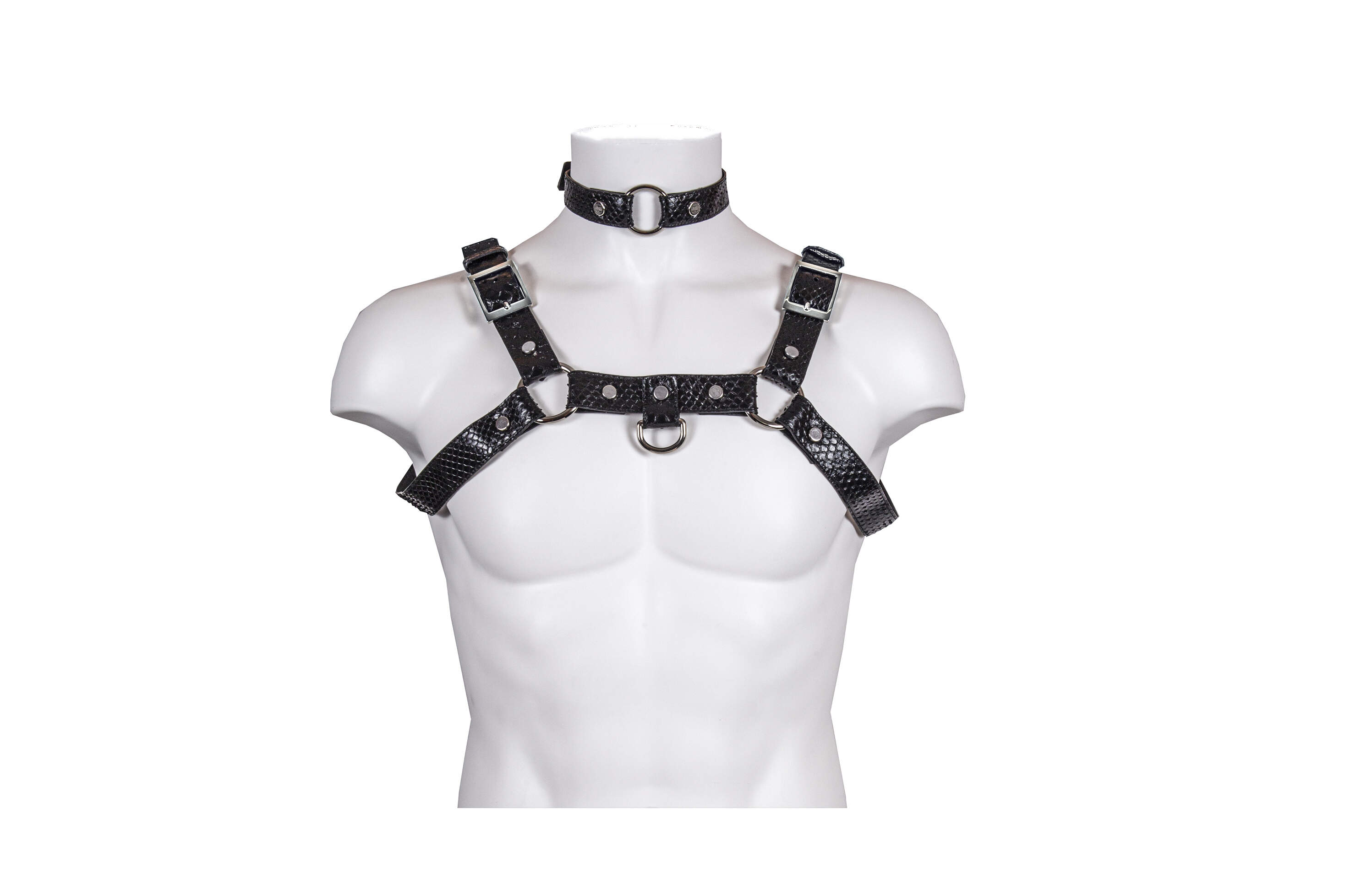 Harness Bust in Real Python Col. Nero