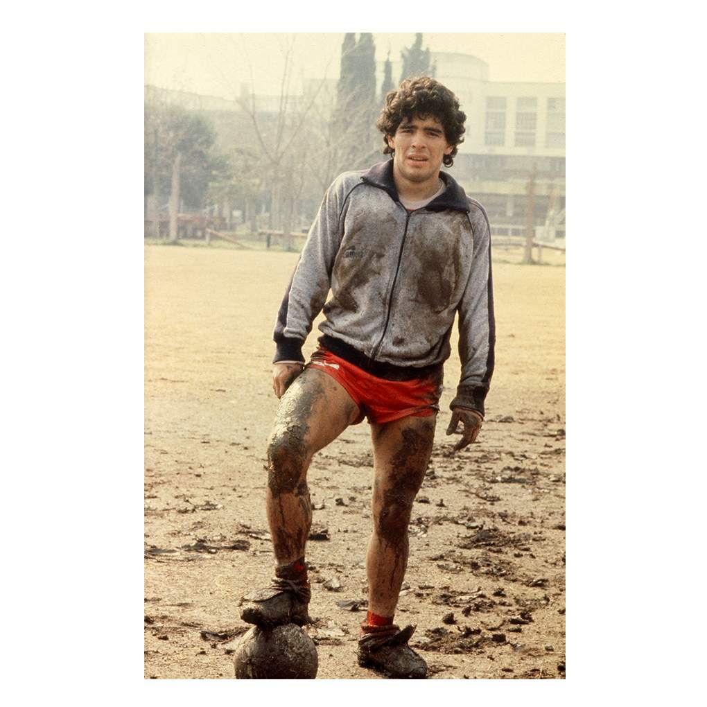 The Joy of Life (Maradona) - José Luis Ledesma