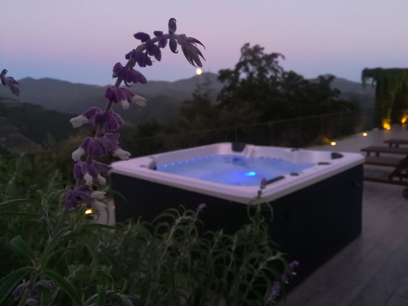 holiday,wellness area,Farmhouse,accomodation,agriturismo,appartaments,rooms,Liguria,Imperia,Flower riviera,astonishing,confort,relax, Nizza, Montecarlo, Pigna, Dolceacqua, Apricale, medieval villages, most beautiful villages in Italy, orange flags, blue flags, trekking,mountain bike,whale watching, romantic, rustic, whirlpool, sauna, aromatic, relax area, solarium, silence, peace