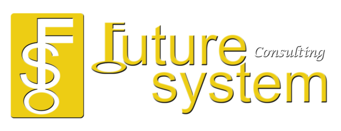 Future System Consulting
