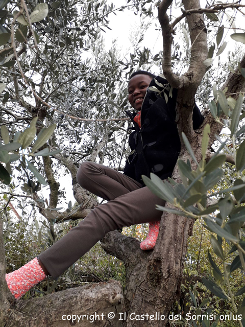 felicità è ... arrampicarsi su un albero