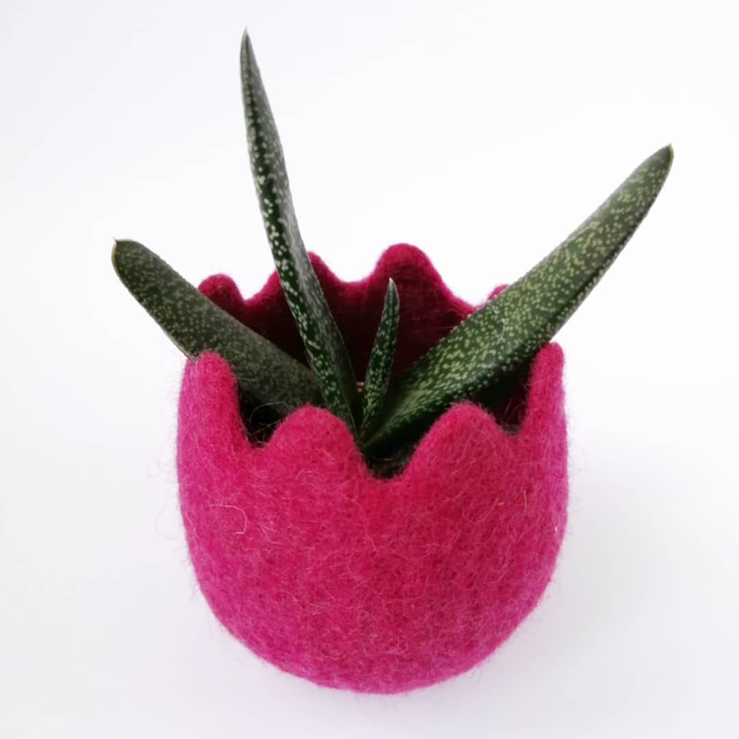 Vaso in lana rosa - Vaso ecologico a forma di fiore per succulente