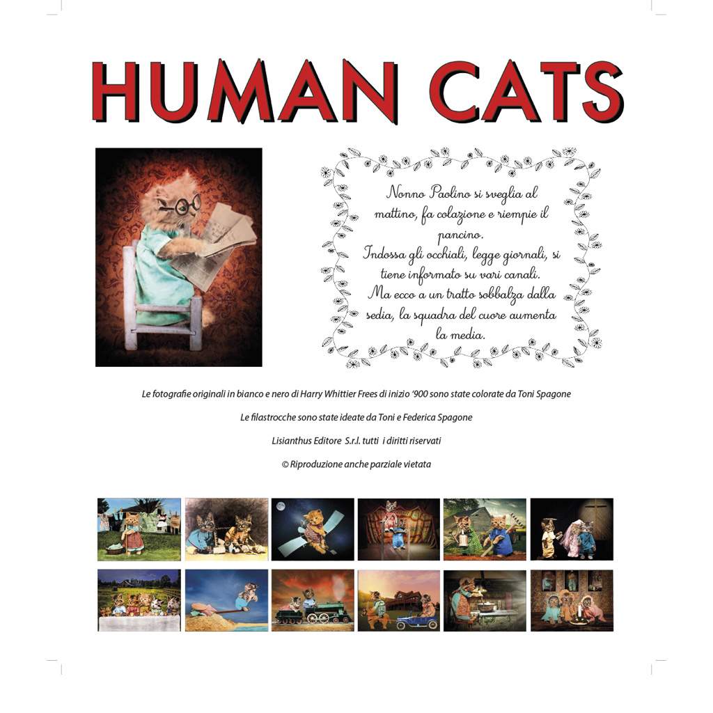 Human Cats storie di gatti in filastrocca