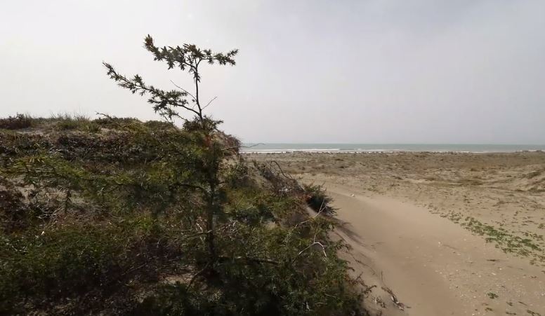 Capocotta, 250mila euro per tutelare le dune