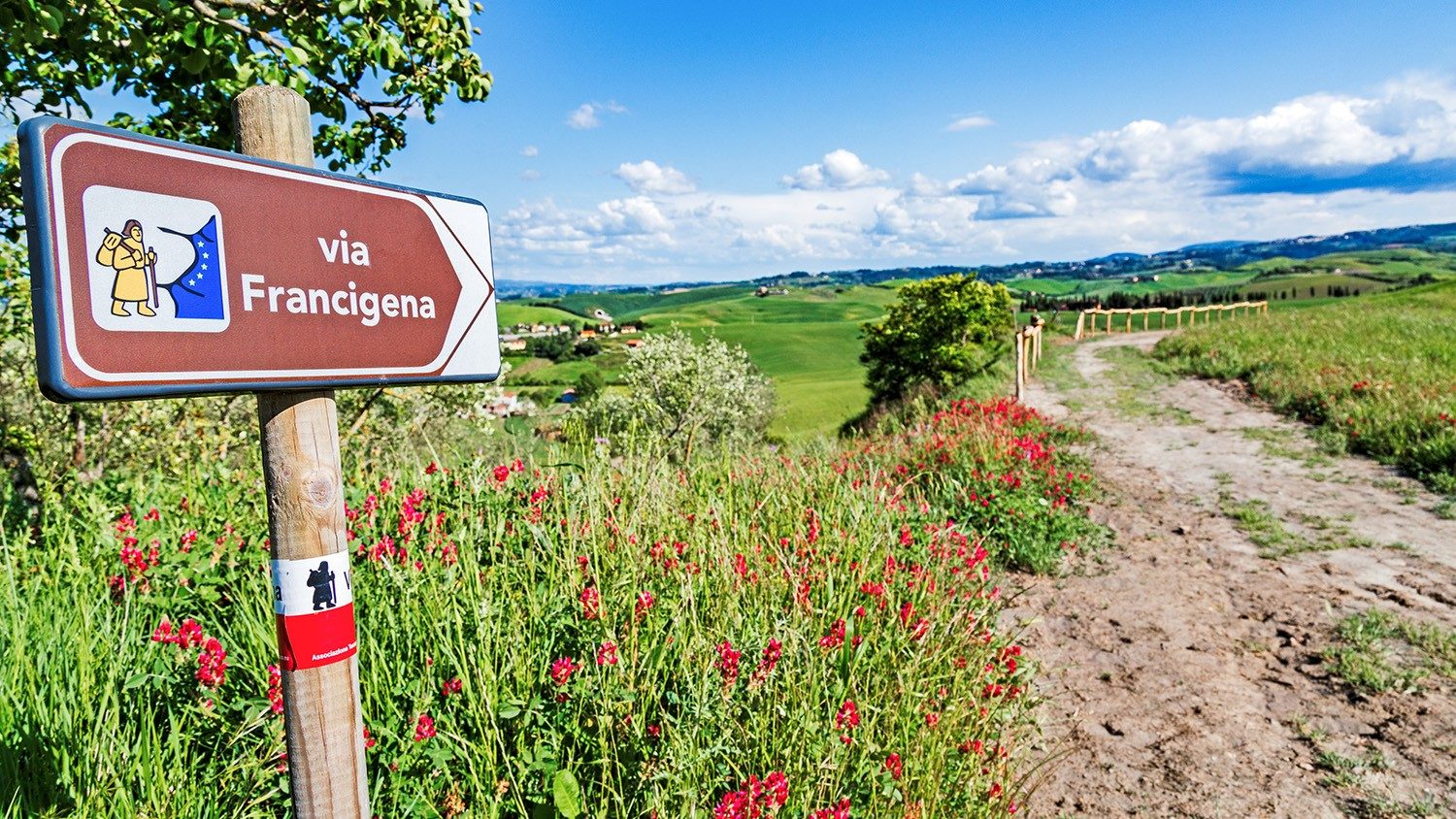 via francigenajpeg