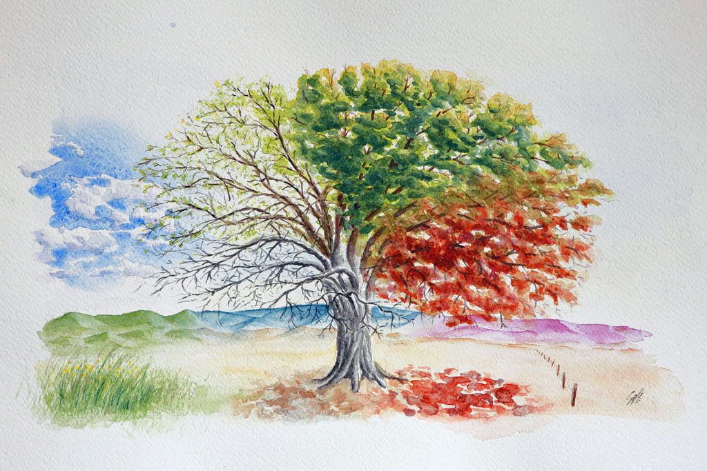 waterpaint of a tree wearing the foru seaons at once