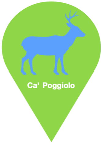 www.capoggiolo.com