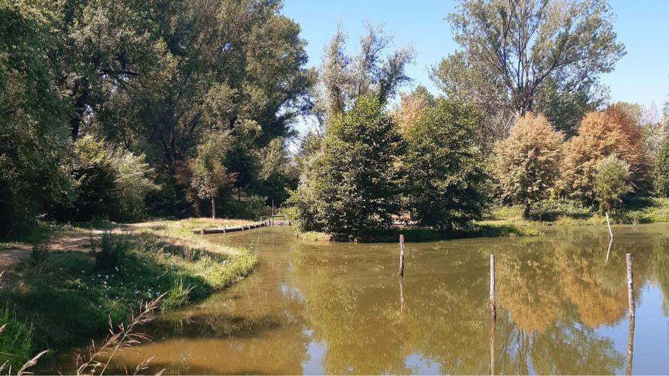 uno degli oltre 70 laghetti artificiali sparsi nel Parco Agricolo Sud Milano
