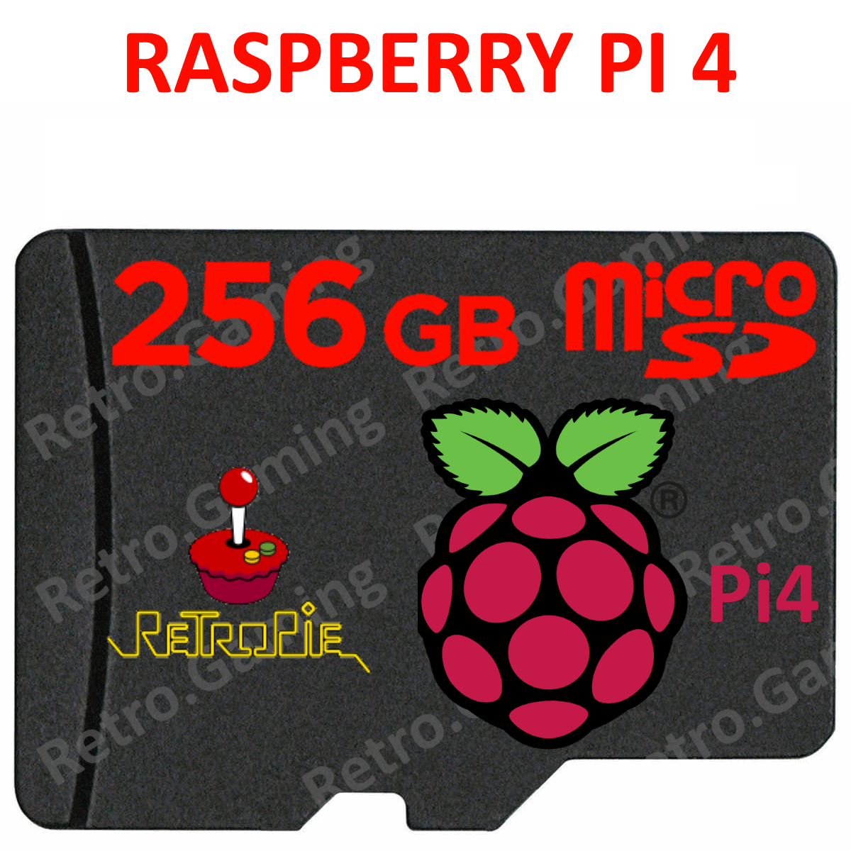 micro SD 256GB per Raspberry pi 4/400 [Retropie] + Manuale PDF