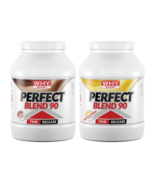 PROTEINE WHY PERFECT BLEND 90