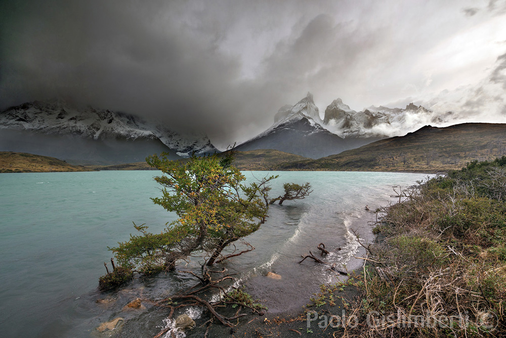 PN Torres del Paine, Cile