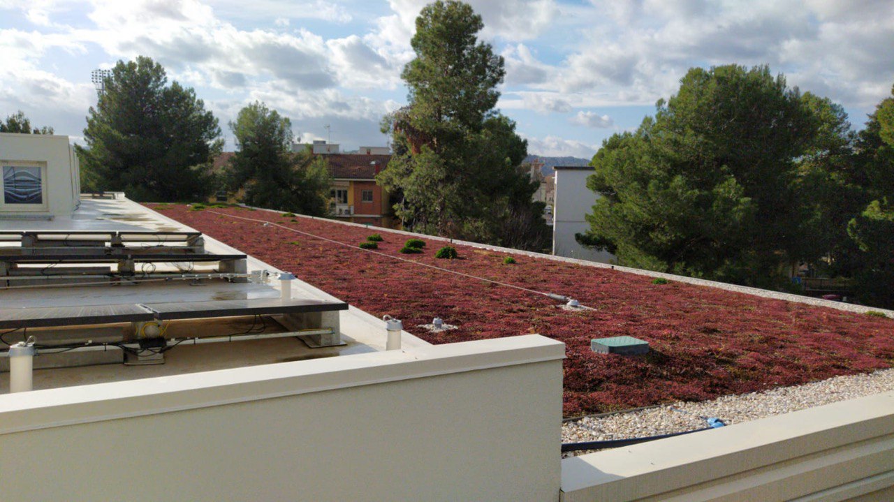 Progettazione sistema anticaduta su tetto verde